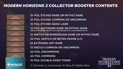 Modern Horizons 2 - Collector Booster Case